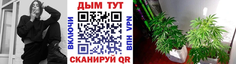 Названия наркотиков Избербаш COCAIN  ссылка на мегу сайт  АМФ  СК  ГАШИШ  Меф мяу мяу  МАРИХУАНА 