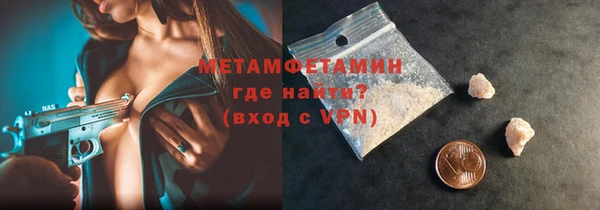 шишки Горняк