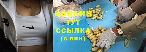 шишки Горняк