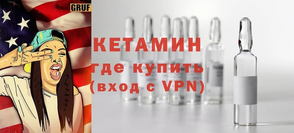 шишки Горняк