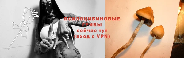 прущие крисы Калининец