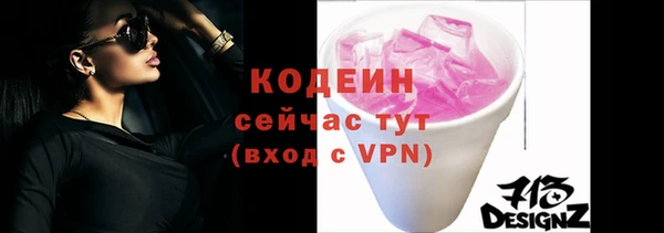 шишки Горняк