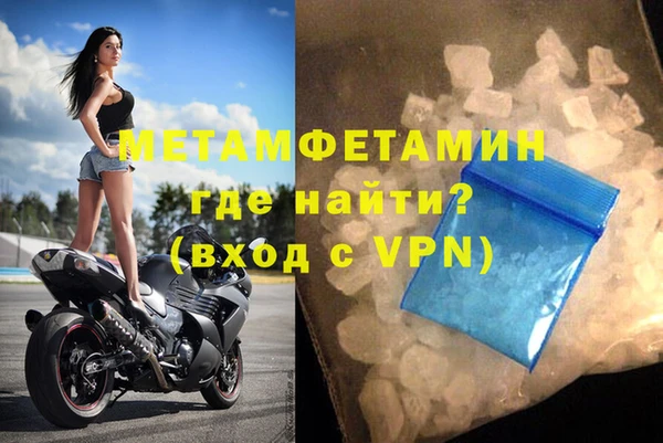 шишки Горняк