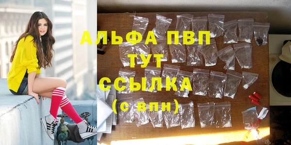 стаф Горно-Алтайск