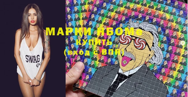 шишки Горняк