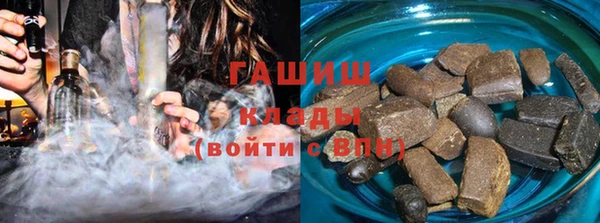 шишки Горняк