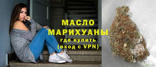шишки Горняк