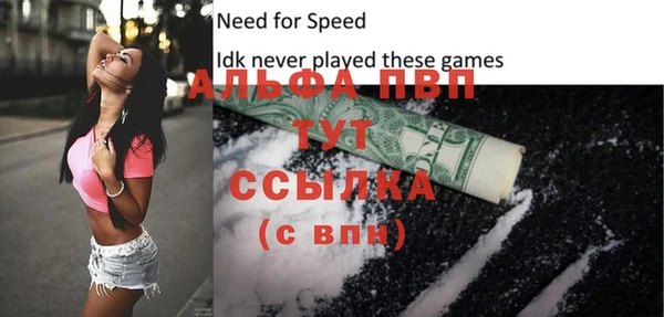 шишки Горняк