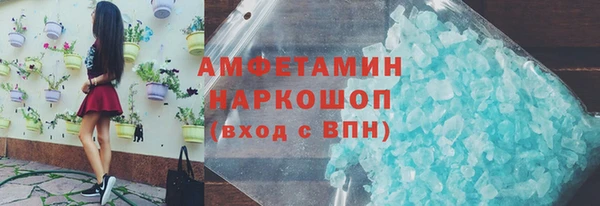 шишки Горняк