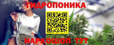 apvp Гай