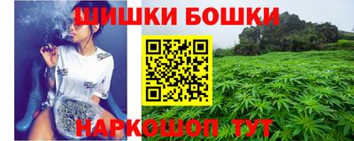 a pvp Заводоуковск