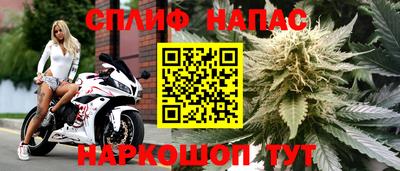 apvp Гай