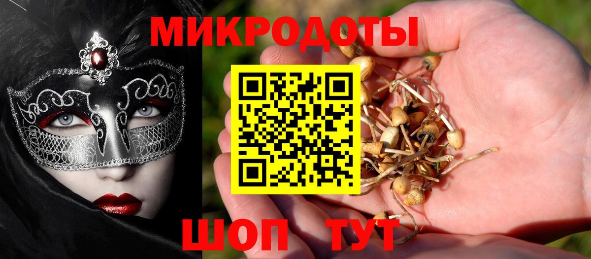 Псилоцибиновые грибы прущие грибы Избербаш