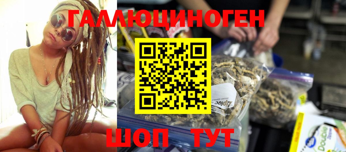 Галлюциногенные грибы GOLDEN TEACHER  купить закладку  Избербаш  Вход с VPN 